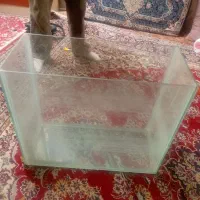 آکواریوم ماهی|ماهی|شیراز, کوشک میدان|دیوار