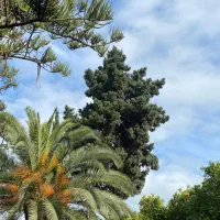 فروش-ویلا-کاملابازسازی-شده-درشهرک-دریاکنار