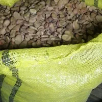 باقلا خشک تمیز و پزا، خو پخت|خوردنی و آشامیدنی|کوهی‌خیل, |دیوار