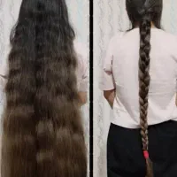 بانوان گیسو کنمد راپانزل زرین شهر و حومه