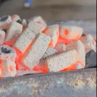 زغال خودسوز کبابی(فشرده)|کوهنوردی و کمپینگ|سقز, |دیوار