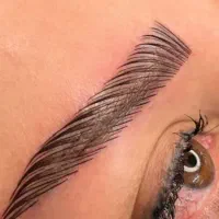 تتوکار حرفه ای