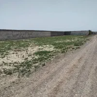 ۱۲۰۰ متر زمین ، شاهنامه ۸۰