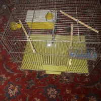 قفس|لوازم جانبی حیوانات|دزفول, |دیوار