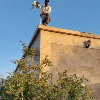 دوربین دزدگیر