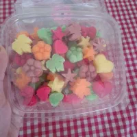 قندونبات رنگی و گیاهی