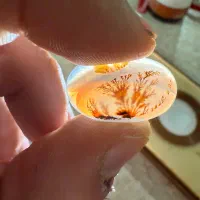 سنگ جواهر ،شجر،کلکسیونی،انگشتر طلا،معاوضه|جواهرات|تهران, تهرانسر مرکزی|دیوار