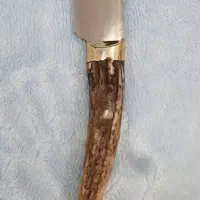 کلکسیونی کارد