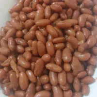 لوبیا چیتی|عمدهفروشی|مرودشت, رودبال|دیوار