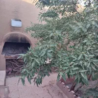 باغ ویلا زیبا و کوچک