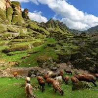 تور اقتصادی اردیبهشت،مخملکوه، شیراز، ازنادر، شیوند