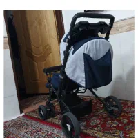 کالسکه دلیجان|کالسکه و لوازم جانبی|قم, چهل درخت‎|دیوار