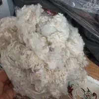 بار پنبه والیاف