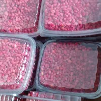 زرشک دون شده آبدار|خوردنی و آشامیدنی|تهران, آشتیانی|دیوار