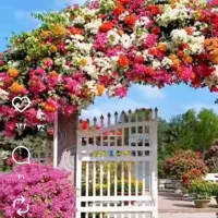 محوطه سازی وزیبا سازی با کاهگل نانو وکارهای جوشکار|خدمات پیشه و مهارت|قشم, |دیوار