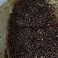عسل کوهستان درمانی