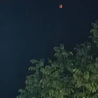 دنبال خونه اجاره کسی سراغ داره اطلاع بده