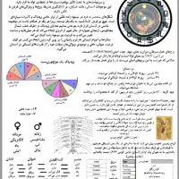 نسخه دیجیتال حکمت(ترجمه نسخه اصلی)