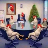 تعداد 15 بوغلمون محلی اصل