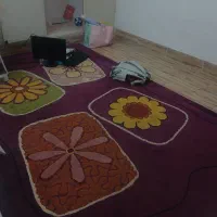 فرش ۲ در ۳