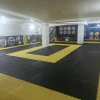 دعوت به همکاری از مربیان رزمی در باشگاه