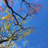 استخدام سرایدار و نگهبان