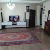 فرش طبیعی6متری چهل رج|فرش|اردبیل, |دیوار