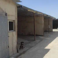 یک باب مغازه از یک مجتمع تعمیر گاهی|اجارهٔ مغازه و غرفه|شیراز, رکن‌آباد|دیوار