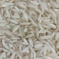 ۲۱۰ کیلو برنج فجر درجه یک|خوردنی و آشامیدنی|تالش, هشتپر|دیوار