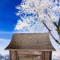 بخاری شومینه گازی