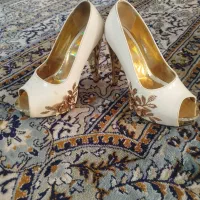 کیف و کفش ها مجلسی همه باهم 800