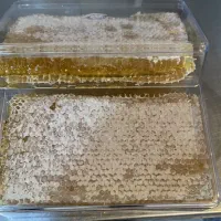 کارگاه بسته بندی مجهز