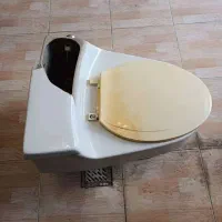 توالت فرنگی دست دوم سالم، فلاش‌تانک دار در مهاباد|لوازم سرویس بهداشتی|مهاباد (آذربایجان غربی), |دیوار