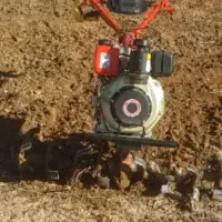 کلیه خدمات باغبانی. تیلرزدن.هرس.کاشت درخت