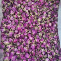 غنچه گل محمدی|خوردنی و آشامیدنی|تهران, تهرانسر شرقی|دیوار