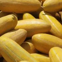 خربزه مشهدی شیرین چین یک 21000