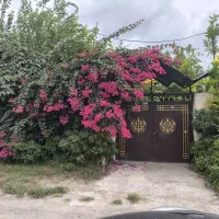 معاوضه-ویلا-در-چمستان-با-ویلای-یا-روستایی-و-جنگلی