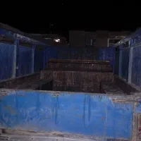 نیسان مدل 79|خودرو سواری و وانت|قلندر آباد, |دیوار