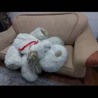 عروسک سگ ۱ متری|اسباب‌بازی بچه|شیراز, بریجستون|دیوار