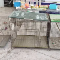 قفس پرنده|لوازم جانبی حیوانات|حمیدیا, |دیوار