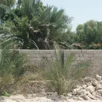 ویلایی مرکز جزیره اجاره فروش