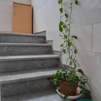 اجاره آپارتمان ۶۶ متری ۲ خوابه طبقه ۴ در فردوس|اجارهٔ آپارتمان|تهران, فردوس|دیوار