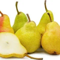 تولید نهال گلابی بیروتی|خدمات باغبانی و درختکاری|دره شهر, |دیوار