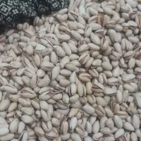 پسته تازه خندان و خوش طعم بهترین پسته یلدایی|خوردنی و آشامیدنی|یزد, |دیوار