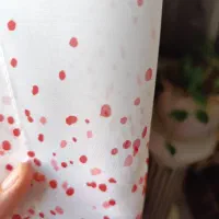 پرده پذیرایی|پرده، رانر، رومیزی|کرج, گلشهر|دیوار