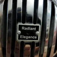 بوق رادیانت الگانس|قطعات یدکی و لوازم جانبی|تبریز, |دیوار