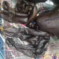 هیزه گوسفندی تازه به شرط|ظروف نگهدارنده، پلاستیکی، یکبارمصرف|ایلام, |دیوار