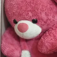 عروسک شاسخین بزرگ