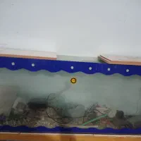 اکواریوم  ۱/۵ طول و عرض  ۳۰ ارتفاع ۶۰سانتی متر