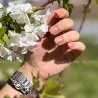 کاشت ناخن|خدمات آرایشگری و زیبایی|کنگاور, |دیوار